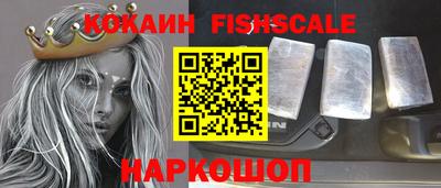 крисы Шелехов