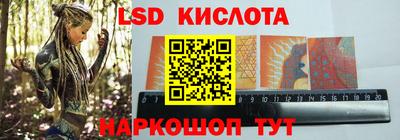 крисы Шелехов