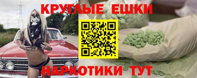 крисы Шелехов