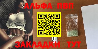 крисы Шелехов