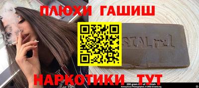крисы Шелехов