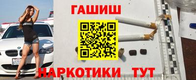 крисы Шелехов